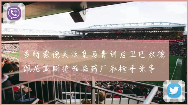 多特蒙德关注皇马青训后卫巴尔德佩尼亚斯将面临药厂和枪手竞争